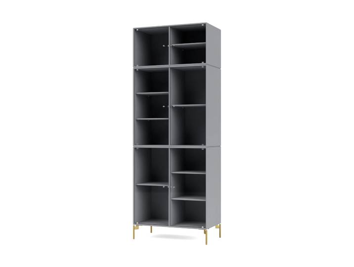 Montana Ripple IV Vitrinenschrank 69,6x187,2x38 cm Graphic-Beine brass