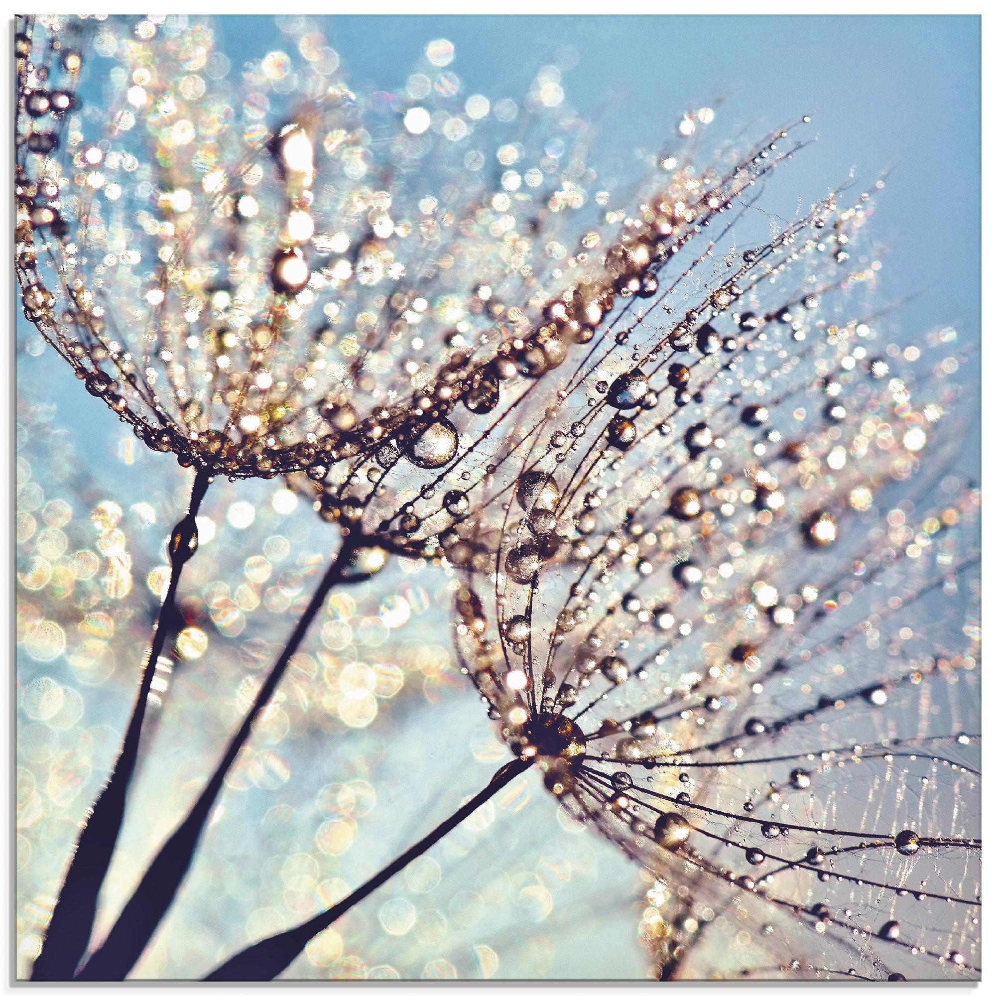Glasbild ARTLAND "Pusteblume Tröpfchenfänger", blau (farbe bild(er): blau), B:50cm H:50cm, Bilder, in verschiedenen Größen