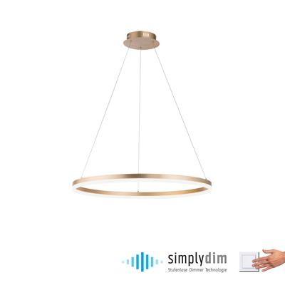 PAUL NEUHAUS Pendelleuchte "TITUS", gold (messingfarben matt), 1, Ø 80cm, 1 Stk., Leuchten, LED, dimmbar, Simply Dim, Memory, nach Trennung vom Netz, Pendelleuchte