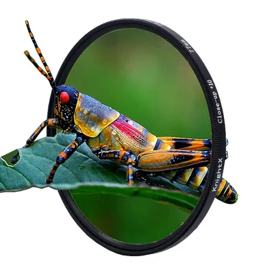 Makro-Nahaufnahmeobjektivfilter + 10 Filtersatz 49 mm 52 mm 55 mm 58 mm 62 mm 67 mm 72 mm 77 mm für Canon Nikon Sony Kameras