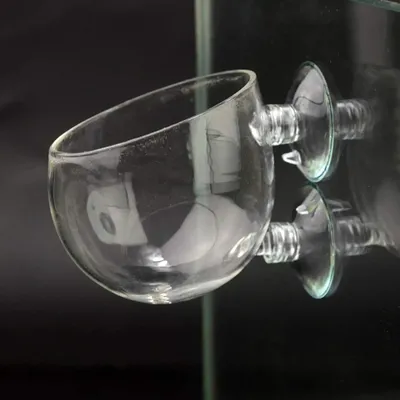 Aquarium-Pflanzenhalter Glas-Wasserpflanzentopf mit Saugnäpfen Lebende Pflanzen Fischbeckenhalter Aquatischer Pflanzgefäß Aquarium-Dekoration