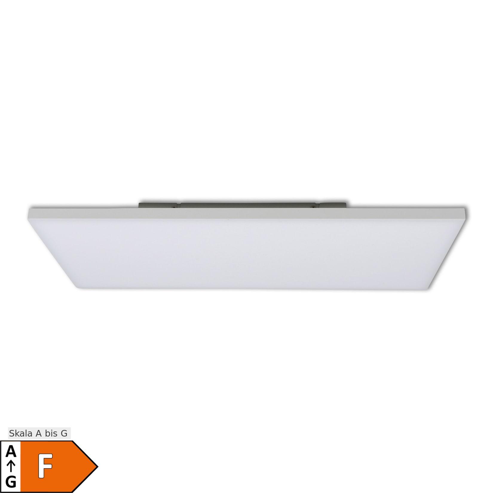 Näve LED Panel-Deckenleuchte "CARENTE" L: 59,5cm - rahmenlos